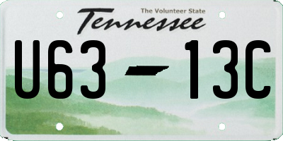 TN license plate U6313C