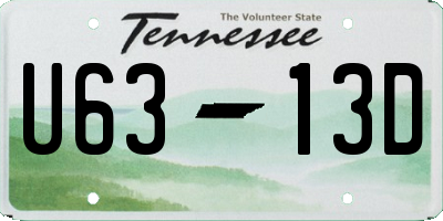 TN license plate U6313D