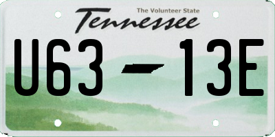 TN license plate U6313E