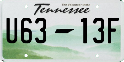 TN license plate U6313F