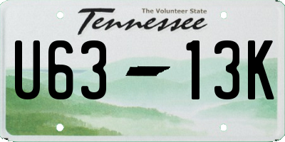 TN license plate U6313K
