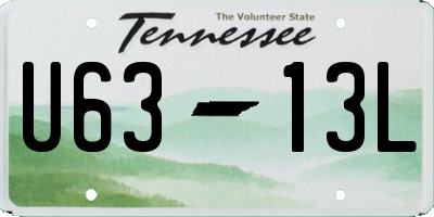 TN license plate U6313L