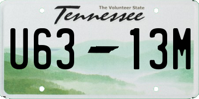 TN license plate U6313M