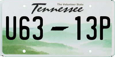 TN license plate U6313P