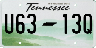 TN license plate U6313Q