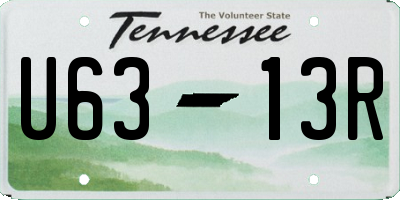 TN license plate U6313R