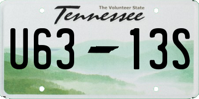 TN license plate U6313S