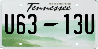 TN license plate U6313U