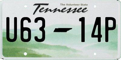 TN license plate U6314P