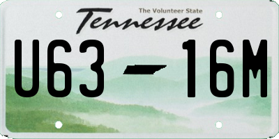 TN license plate U6316M