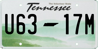 TN license plate U6317M