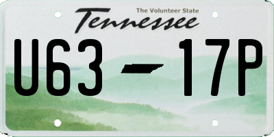 TN license plate U6317P