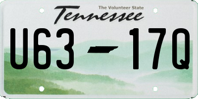 TN license plate U6317Q