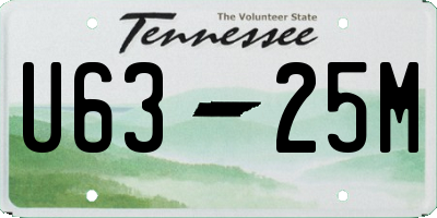 TN license plate U6325M
