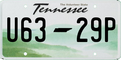 TN license plate U6329P