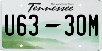 TN license plate U6330M