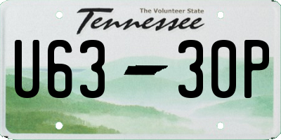 TN license plate U6330P