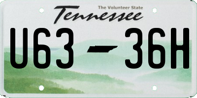 TN license plate U6336H