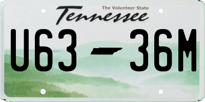 TN license plate U6336M