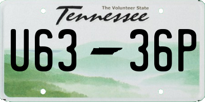 TN license plate U6336P