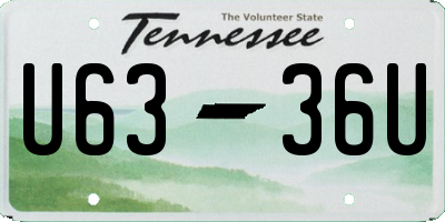 TN license plate U6336U