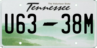 TN license plate U6338M