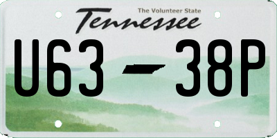TN license plate U6338P