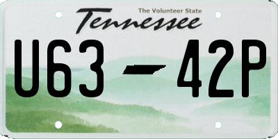 TN license plate U6342P