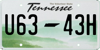 TN license plate U6343H