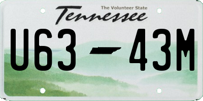 TN license plate U6343M