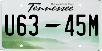 TN license plate U6345M