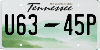 TN license plate U6345P