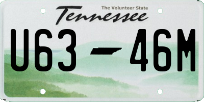 TN license plate U6346M