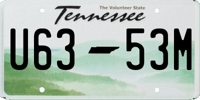 TN license plate U6353M