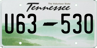 TN license plate U6353O