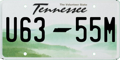 TN license plate U6355M