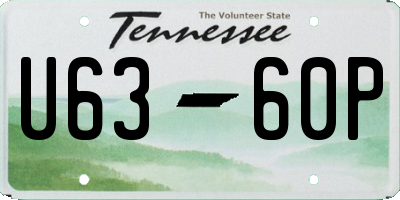 TN license plate U6360P