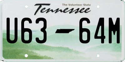 TN license plate U6364M