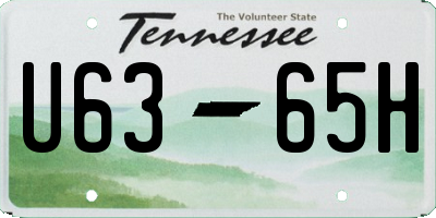 TN license plate U6365H