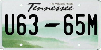 TN license plate U6365M