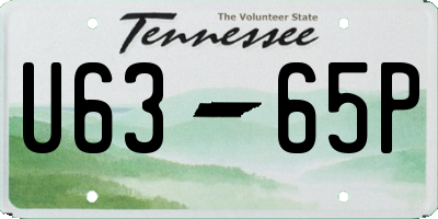TN license plate U6365P