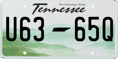 TN license plate U6365Q