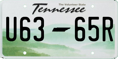 TN license plate U6365R