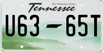 TN license plate U6365T
