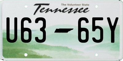 TN license plate U6365Y