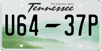 TN license plate U6437P