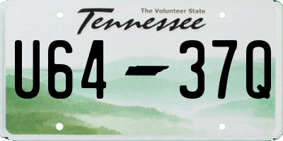 TN license plate U6437Q