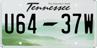 TN license plate U6437W