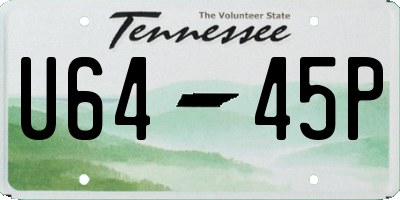 TN license plate U6445P