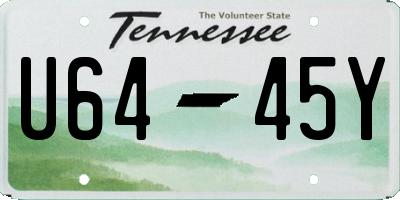 TN license plate U6445Y
